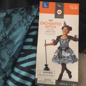 Girls Halloween Witch Costume (Large 10/12)